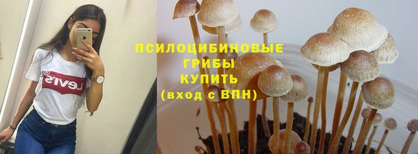 прущие крисы Протвино