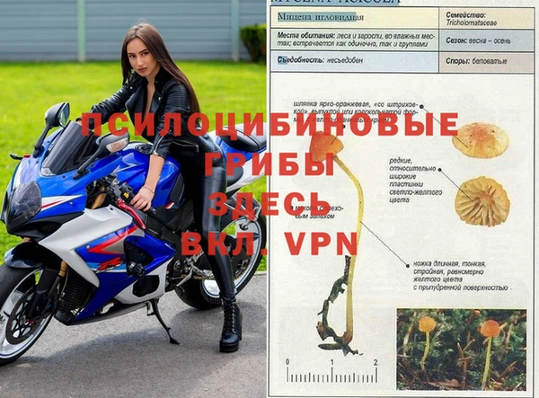 прущий лед Приозерск
