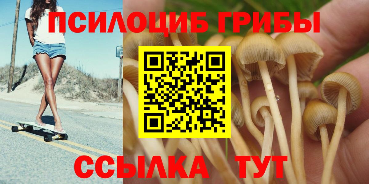 хочу наркоту  Галлюциногенные грибы Cubensis  Вход с VPN  Ялта 